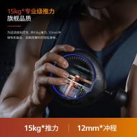 飞利浦（PHILIPS） 5301G 按摩器 180*70*160mm （单位:个）