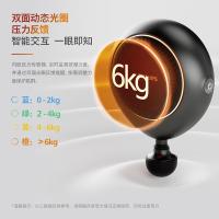 飞利浦（PHILIPS） 5301G 按摩器 180*70*160mm （单位:个）