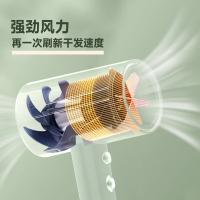 荣事达（Royalstar） RC-180E 电吹风 1800-2100W(单位：台)