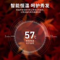 超人（SID） RD7610 电吹风 1600W(单位：个) 红色