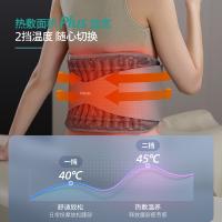 飞利浦（PHILIPS） 3206B 腰部按摩器 10W 浅灰色（单位：台）