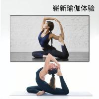 ProPre 618 电视挂架 适用32-80英寸（单位：套）