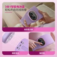 飞利浦（PHILIPS） PPM3202B 腰部按摩仪 电池容量2500mAh （单位：个）