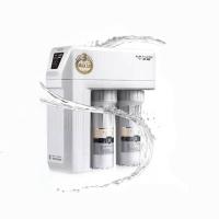史密斯（A.O.SMITH） R1600HWi-E 厨下式净水器 1.6L/分钟（单位：台）灰色