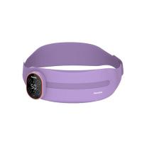 飞利浦（PHILIPS） PPM3202B 腰部按摩器 1005*115*32mm (单位:台) 紫色
