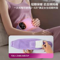 飞利浦（PHILIPS） PPM3202B 腰部按摩器 1005*115*32mm (单位:台) 紫色