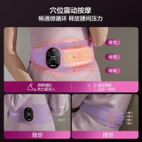 飞利浦（PHILIPS） PPM3202B 腰部按摩器 1005*115*32mm (单位:台) 紫色