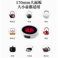 荣事达（Royalstar） DTL13C 电陶炉 功率1300W 迷你 (单位:台)