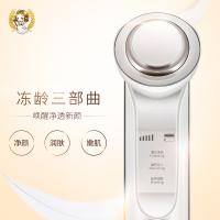 金稻（KSKIN） KD9960 美容仪 275g 白色（单位：台）