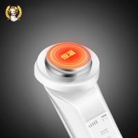 金稻（KSKIN） KD9960 美容仪 275g 白色（单位：台）