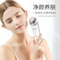 金稻（KSKIN） KD9960 美容仪 275g 白色（单位：台）
