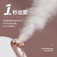 美克斯（MKS） NV8388 蒸脸器 320W 180ml (单位:个) 拼色