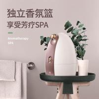 美克斯（MKS） NV8388 蒸脸器 320W 180ml (单位:个) 拼色
