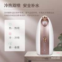 美克斯（MKS） NV8388 蒸脸器 320W 180ml (单位:个) 拼色