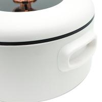 思嘉思达 SKD-G0067 陶晶电火锅 3.5L (单位: 台)