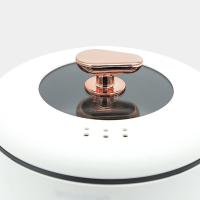 思嘉思达 SKD-G0067 陶晶电火锅 3.5L (单位: 台)