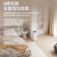 小熊（Bear） JSQ-FA0B1 加湿器 10L (单位：台)  白色