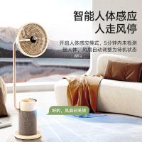 先锋（SINGFUN） AI智能艺术扇 DLD-D36R 325*265*1095mm (单位:台)