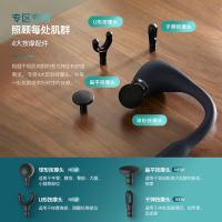 飞利浦（PHILIPS） PPM3502G 按摩锤 15W(单位:个)