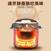 荣事达（Royalstar） 50-100A170(LB)H 电压力锅 5L (单位:台)