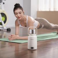 乐扣乐扣（LOCK&LOCK） EJC3755(大) 烧水壶 1000ml 便携式 (单位:个) 白色 绿色随机发货
