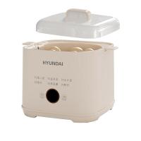 现代（HYUNDAI） NE-250A 液体加热器煮蛋器 250W (单位: 台)