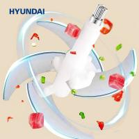 现代（HYUNDAI） TF-A330 多功能料理机 2L（单位：台）