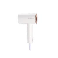 荣事达（Royalstar）RC-210A 电吹风机（单位：个）1800W白色