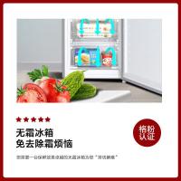 格力（GREE） BCD-226WECL 上下两门冰箱 226L (单位:台)