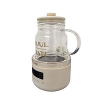 OIDIRE ODI-HC06 养生花茶杯 滤网款升级款 500ml（单位：个）里米尼白