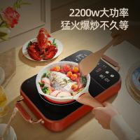 艾贝丽 ABL-DTL803Z 多功能电陶炉 2200W（单位：台）