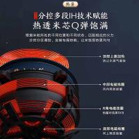 大松 无涂层铸铁电饭煲 GDCF-4015C 4L (单位:台) 亮钢蓝