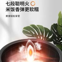 九阳（Joyoung） F50FZ-F561 电饭煲 5L （单位:台）