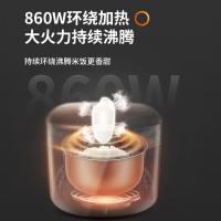 九阳（Joyoung） F50FZ-F561 电饭煲 5L （单位:台）