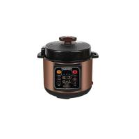长虹（CHANGHONG） CHYL-50B01 电压力锅 5L 1000W 220V 棕色 (单位:台)