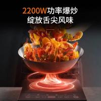 九阳（Joyoung） C22S-N331 电磁炉 2200W 黑色 (单位:台)