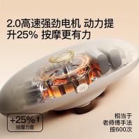 PGG W2 腹部揉腹仪 24W （单位:个）