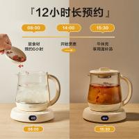 小熊（Bear）YSH-D08L1养生壶0.8L(单位：个)白色