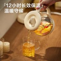 小熊（Bear）YSH-D08L1养生壶0.8L(单位：个)白色