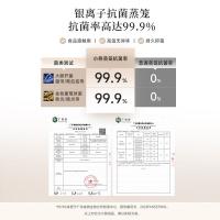 小熊（Bear） DDZ-J25G2 电炖锅 600W（单位：台）