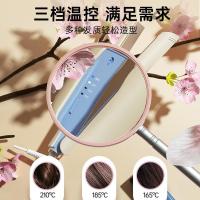 雷瓦 RB-8150 负离子夹板 30W（单位：个） 蓝白色