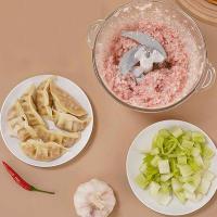 栢士德（BYSTON） BSD-JR102 绞肉机 2L (单位: 台)