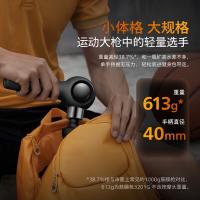 飞利浦（PHILIPS） PPM3201G 筋膜枪 按摩器 黑色 (单位:个)