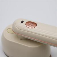 思嘉思达 SKD-G0118 双熨折叠蒸汽熨斗 水箱容量:100mL (单位: 个)