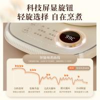 小熊（Bear） YSH-F15E1 养生壶 1.5L (单位:台) 米黄色