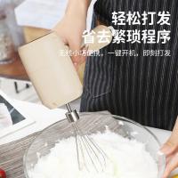 志高（CHIGO） TK-D301 打蛋器 20W（单位：台）