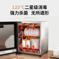 康宝（Canbo） XDR53-TVC1 台式消毒柜 50L 黑色（单位：台）