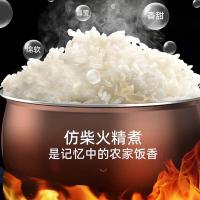 志高（CHIGO） MND20-A 电饭煲 2L（单位：台）