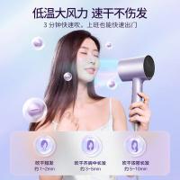 美的（Midea） MB-AJ0504 电吹风 1600W (单位:台)