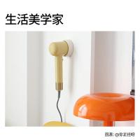 直白（zhibai） S1 吹风机 1400W（单位：台）奶白色